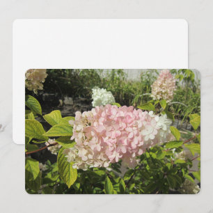 Hydrangea Grandiflora Feestdagenkaart
