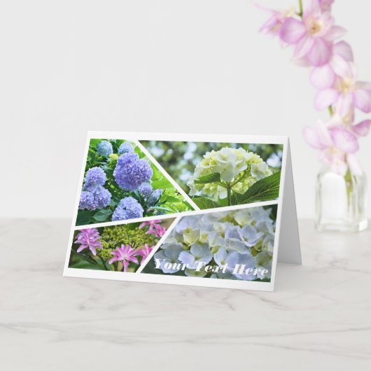Hydrangea [Greeting Card] カード Kaart (Orchidee)
