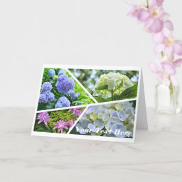Hydrangea [Greeting Card] カード Kaart