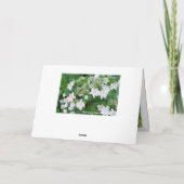 Hydrangea [Greeting Card] カード Kaart (Achterkant)