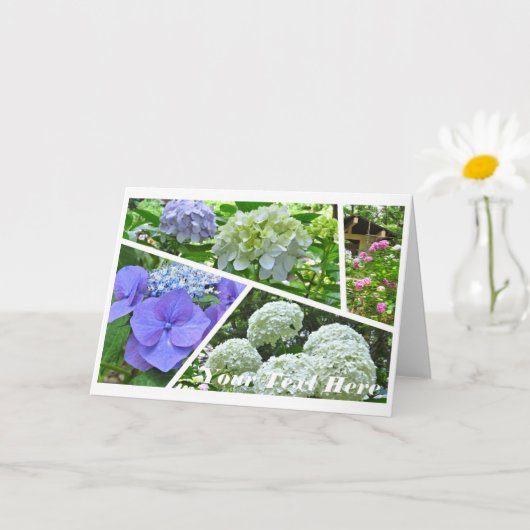 Hydrangea [Greeting Card] カード Kaart (Kleine Plant)