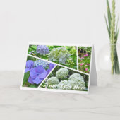 Hydrangea [Greeting Card] カード Kaart (Voorkant)