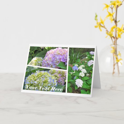 Hydrangea [Greeting Card] カード Kaart (Gele Bloem)
