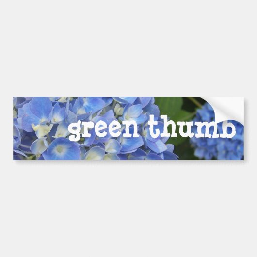 Hydrangea, groen-duim bumpersticker (Voorkant)