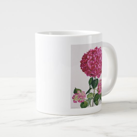 Hydrangea Grote Koffiekop (Voorkant rechts)