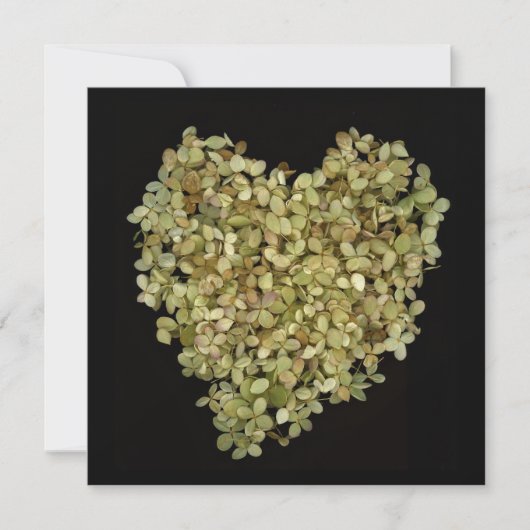 Hydrangea Hart Botanische Notitiekaarten Vierkant (Voorkant)