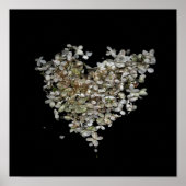 Hydrangea Hart Botanische Poster (Voorkant)