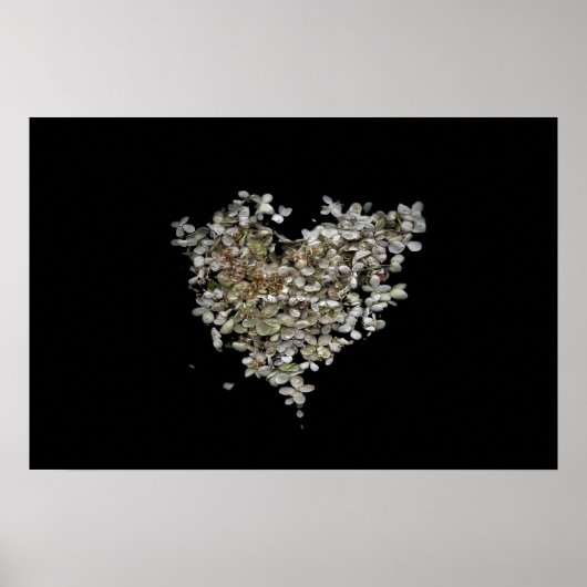 Hydrangea Hart Botanische Poster (Voorkant)