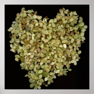 Hydrangea Hart Botanische Poster Lovely2