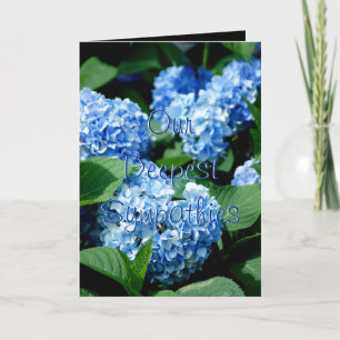 Hydrangea hortensia 2480 Sympathie - verandering Kaart