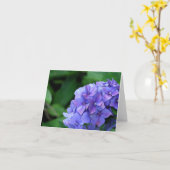 Hydrangea hortensia 6893 kaart (Gele Bloem)