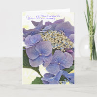 Hydrangea hortensia blauw, Mum en Papa, Uw
