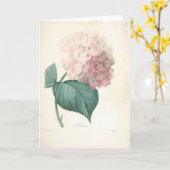 Hydrangea hortensia door Redoute de Botanical Kaart (Gele Bloem)