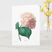 Hydrangea hortensia kaart (Gele Bloem)