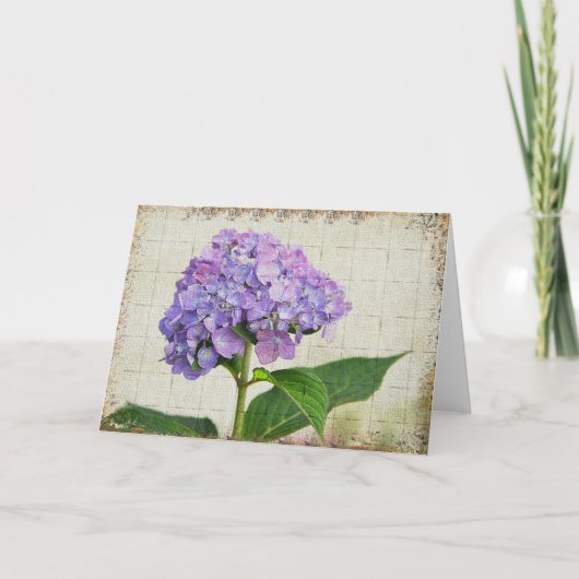 Hydrangea hortensia Notecard Kaart (Voorkant)