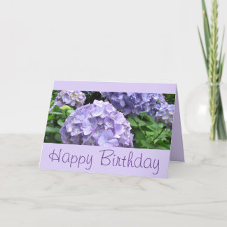 Hydrangea hortensia's bij Trebah Tuinen, Cornwall Kaart