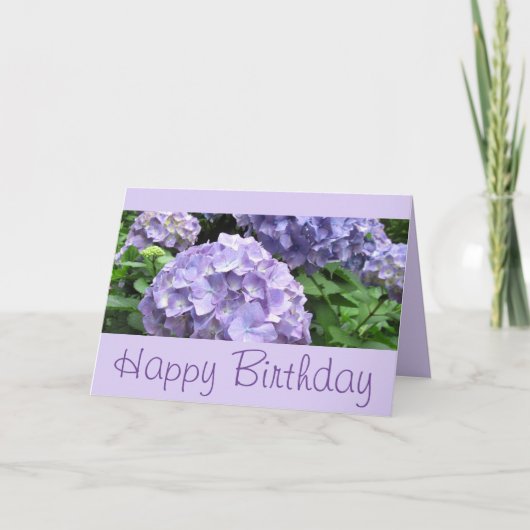 Hydrangea hortensia's bij Trebah Tuinen, Cornwall Kaart (Voorkant)