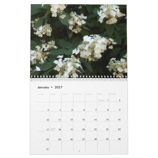Hydrangea Hues 2013 Kalender (Jan 2027)
