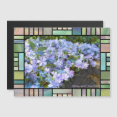 Hydrangea hybrida "Dance Party" [Magnet Card] (Voorkant / Achterkant)