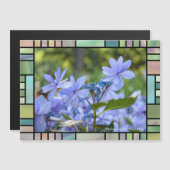 Hydrangea hybrida "Dance Party" [Magnet Card] (Voorkant / Achterkant)