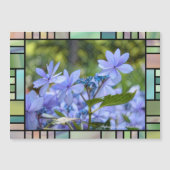 Hydrangea hybrida "Dance Party" [Magnet Card] (Voorkant)