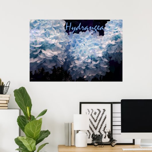 Hydrangea in blauw poster (Thuiskantoor)