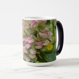 Hydrangea in bloei in de herfst met gouden Hosta-b Magische Mok