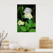 Hydrangea in het bos poster (Keuken)