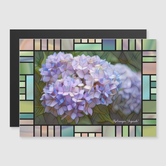 Hydrangea "Jogasaki" [Magnetkaart] (Voorkant / Achterkant)