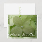 Hydrangea Kaart (Voorkant / Achterkant)