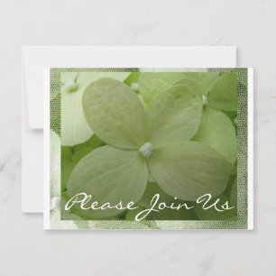 Hydrangea Kaart