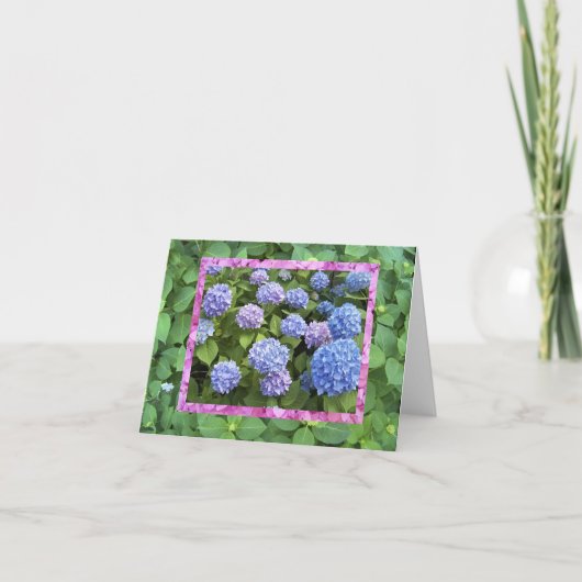 Hydrangea! kaart (Voorkant)
