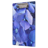 HYDRANGEA KLEMBORD (Links)