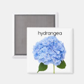 Hydrangea Koelkast Magnet (Voorkant / Achterkant)