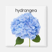 Hydrangea Koelkast Magnet (Voorkant)