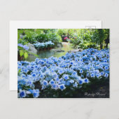 Hydrangea "Konpeito" (Briefkaart) Briefkaart (Voorkant / Achterkant)