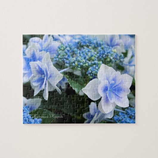 Hydrangea 'Konpeito' [Legpuzzel: 110P] Legpuzzel (Horizontaal)
