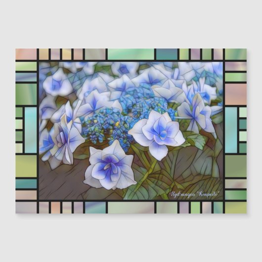 Hydrangea "Konpeito" (Magnetkaart) (Voorkant)