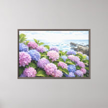 Hydrangea Kust
