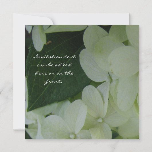 Hydrangea Liefde Kaart (Achterkant)