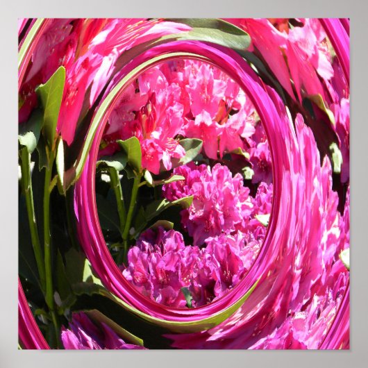 Hydrangea Love... Poster (Voorkant)