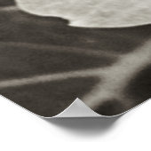 Hydrangea Macro Black en White Poster (Hoek)