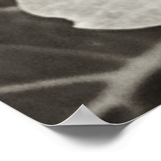 Hydrangea Macro Black en White Poster (Hoek)