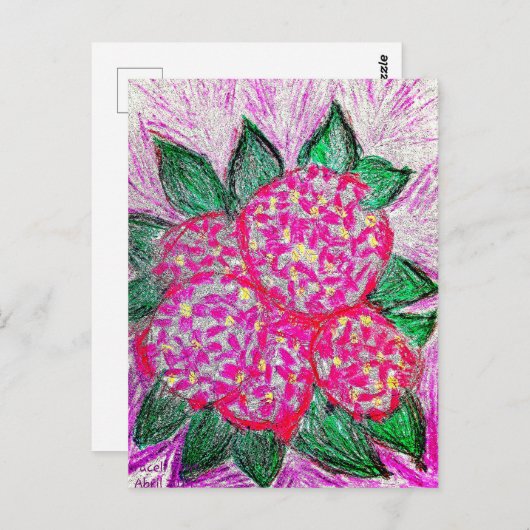 Hydrangea macrophylla briefkaart (Voorkant / Achterkant)