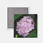 Hydrangea Magneet (Voorkant / Achterkant)