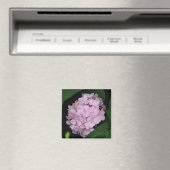 Hydrangea Magneet (Insitu (Vaatwasser))