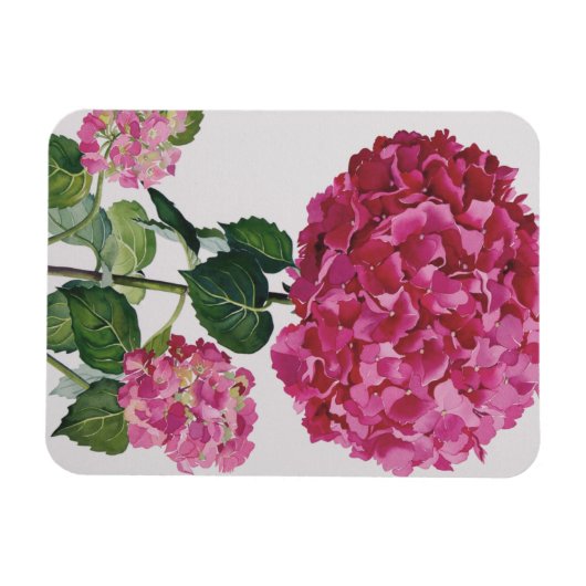 Hydrangea Magneet (Horizontaal)
