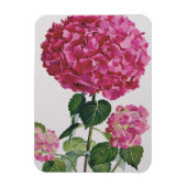 Hydrangea Magneet (Verticaal)