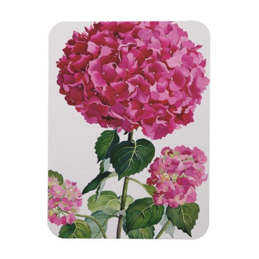Hydrangea Magneet (Verticaal)