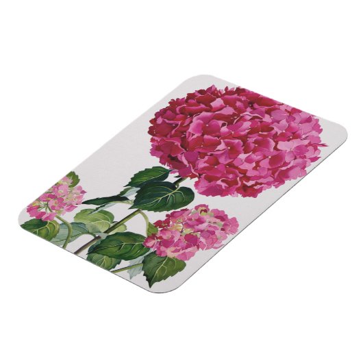 Hydrangea Magneet (Linkerzijde)